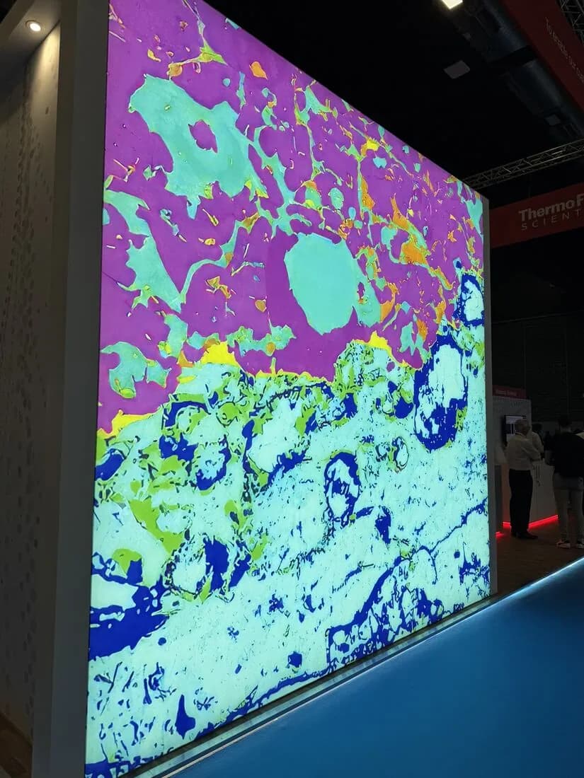 A microscopy image playing on the LED video wall.