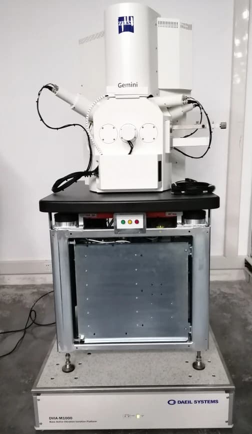 ZEISS Gemini Sigma 300VP DVIA-MB1000 (MB1000 P127) Internal Program — CHINA — 2020.04.20