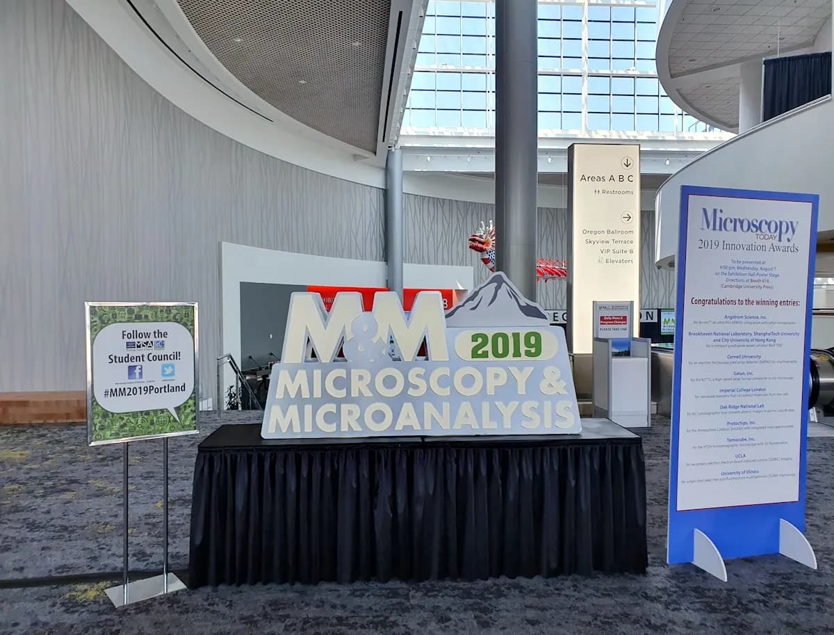 Microscopy & Microanalysis 2019